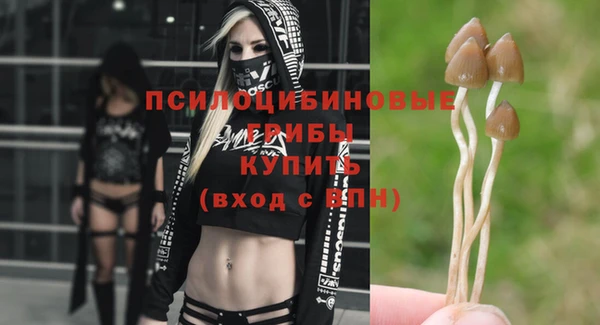 гидропоника Алексин