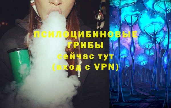 apvp Зеленокумск