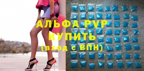 ешки Инта