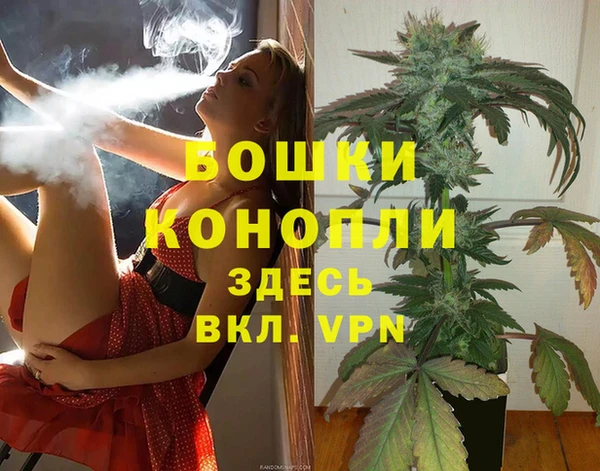 винт Алзамай
