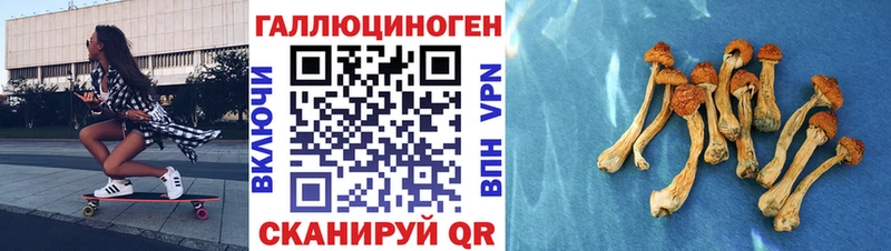 Псилоцибиновые грибы мухоморы  как найти закладки  Новороссийск 