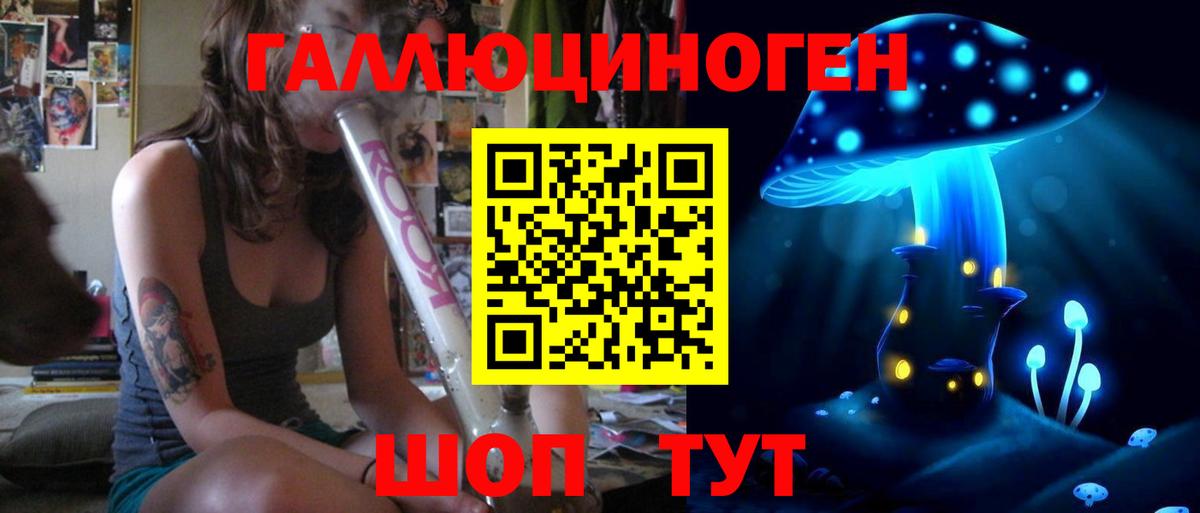 Галлюциногенные грибы Psilocybine cubensis  Вход с VPN  Новороссийск 
